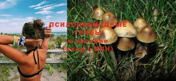 твердый Абдулино