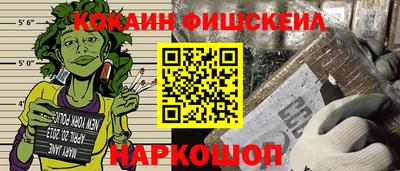 крисы Моздок