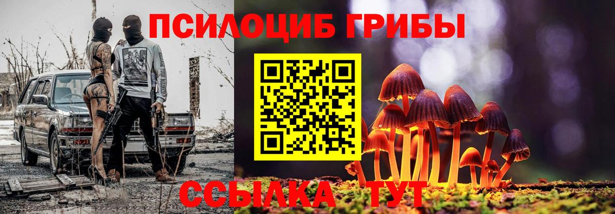 Галлюциногенные грибы Psilocybine cubensis Избербаш