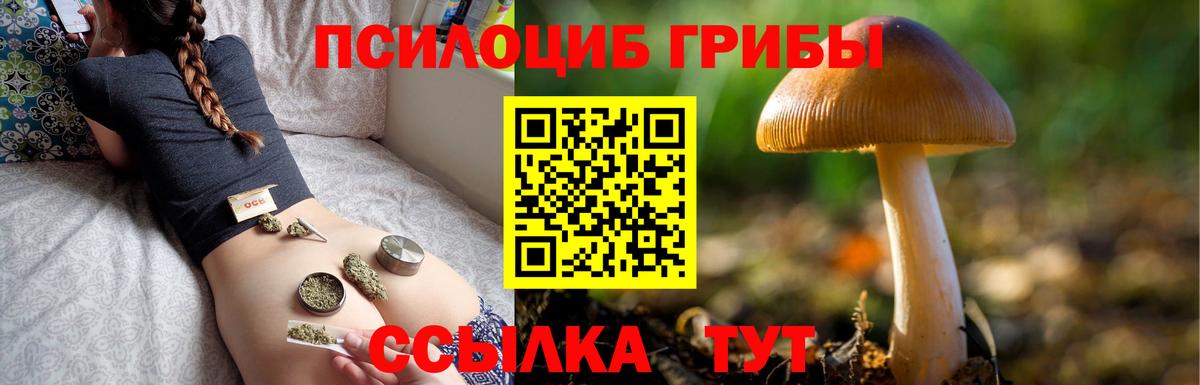 Псилоцибиновые грибы мухоморы  Вход с VPN  купить наркотик  Избербаш 